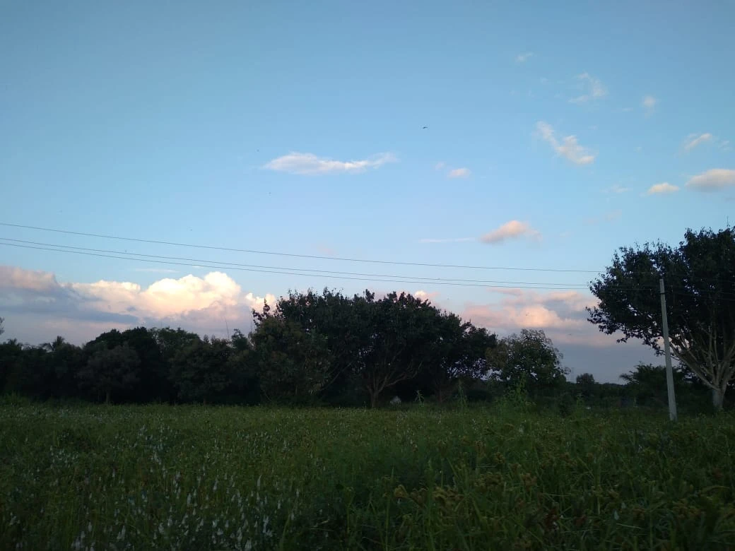 Description of landscape Photo 12