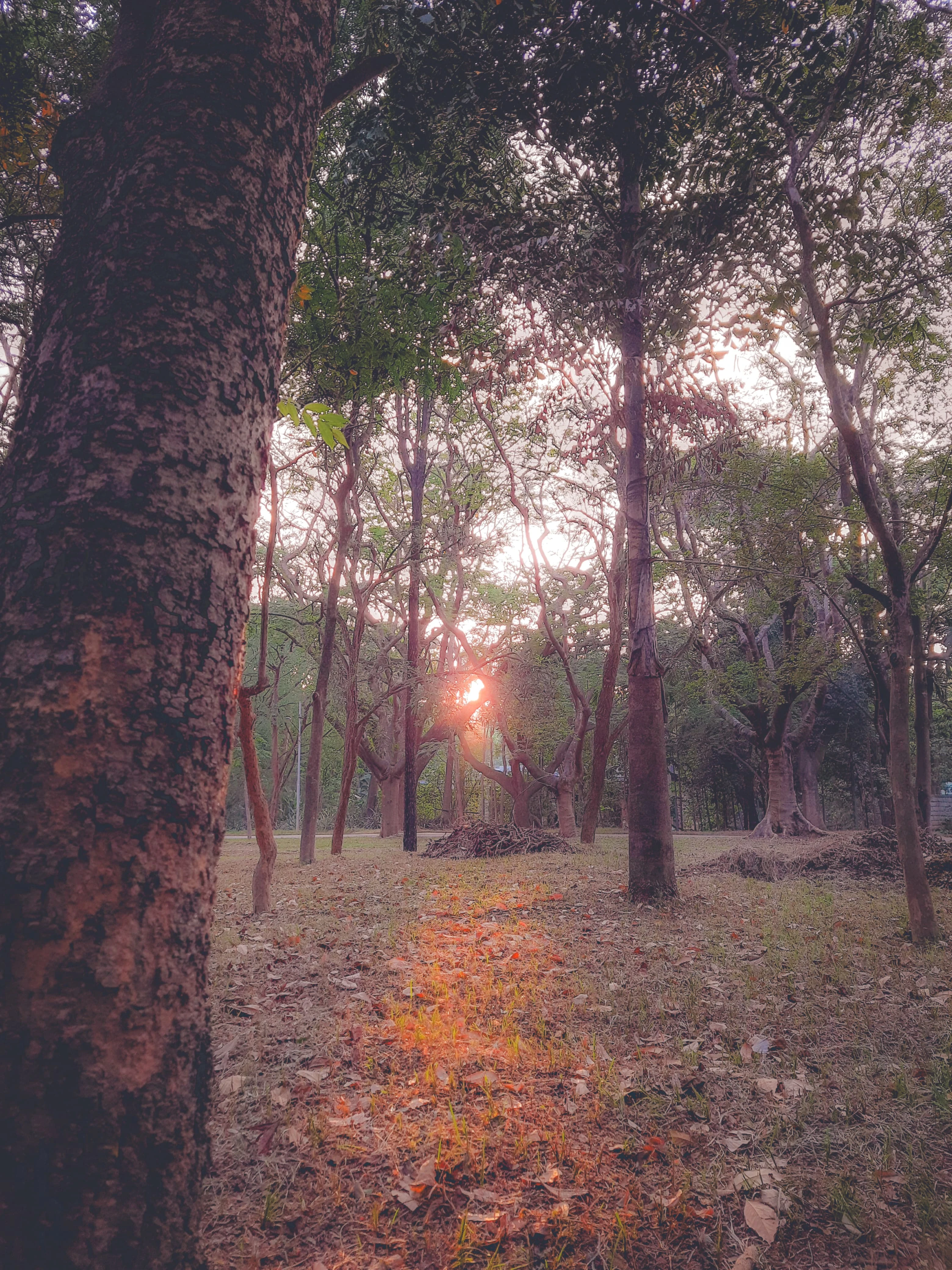 Description of landscape Photo 2