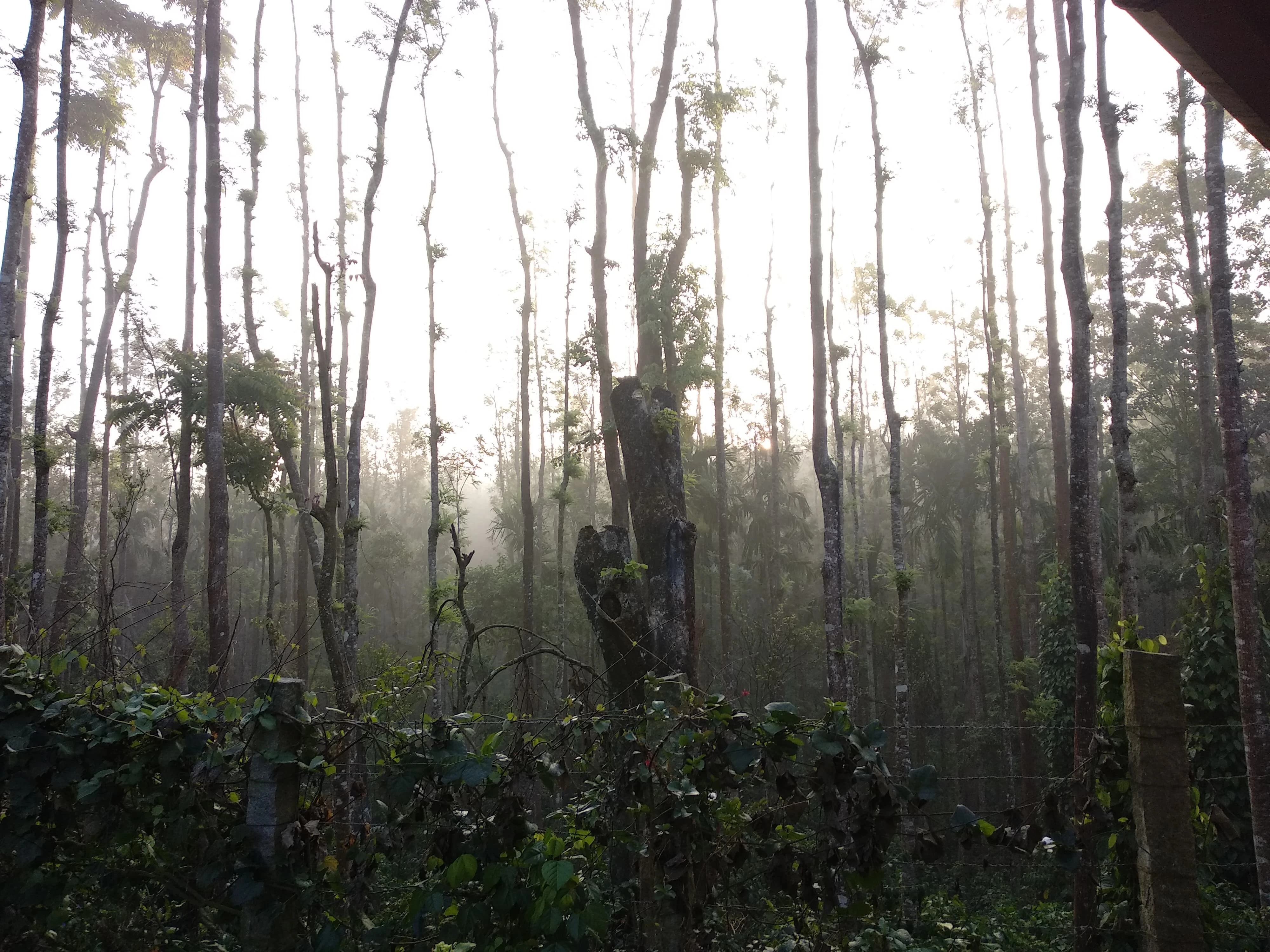 Description of landscape Photo 4