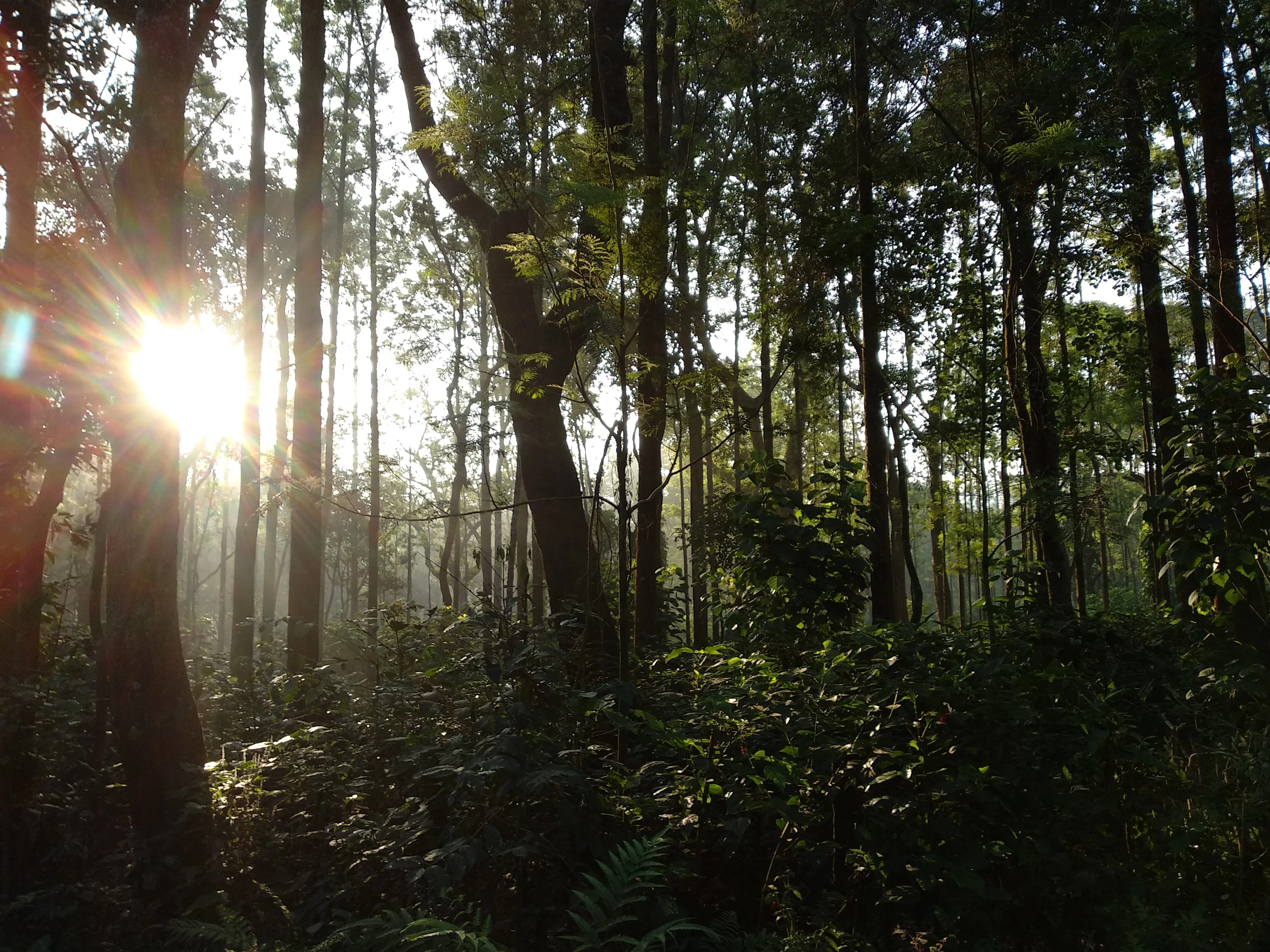 Description of landscape Photo 9