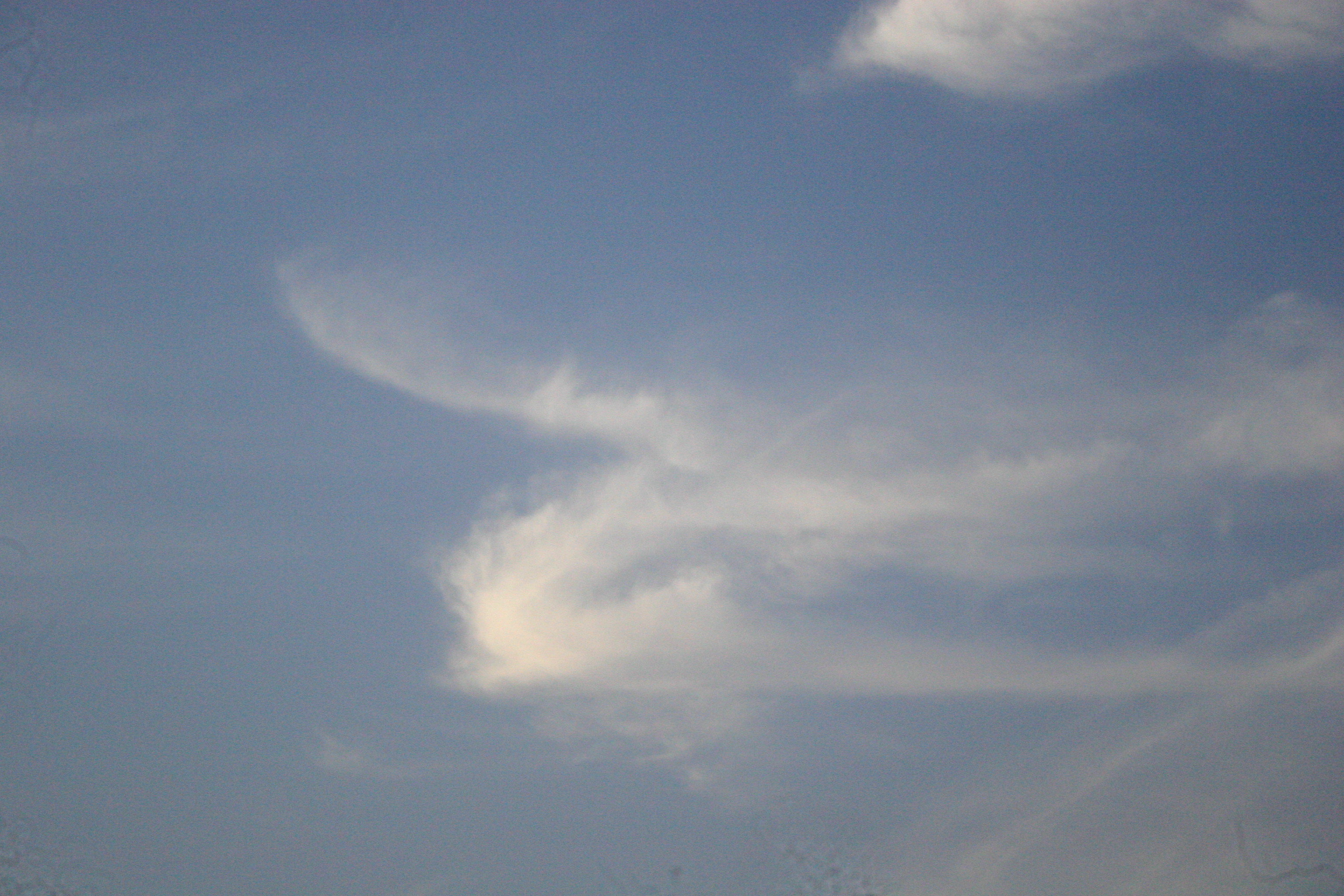 Description of Nature Photo 6