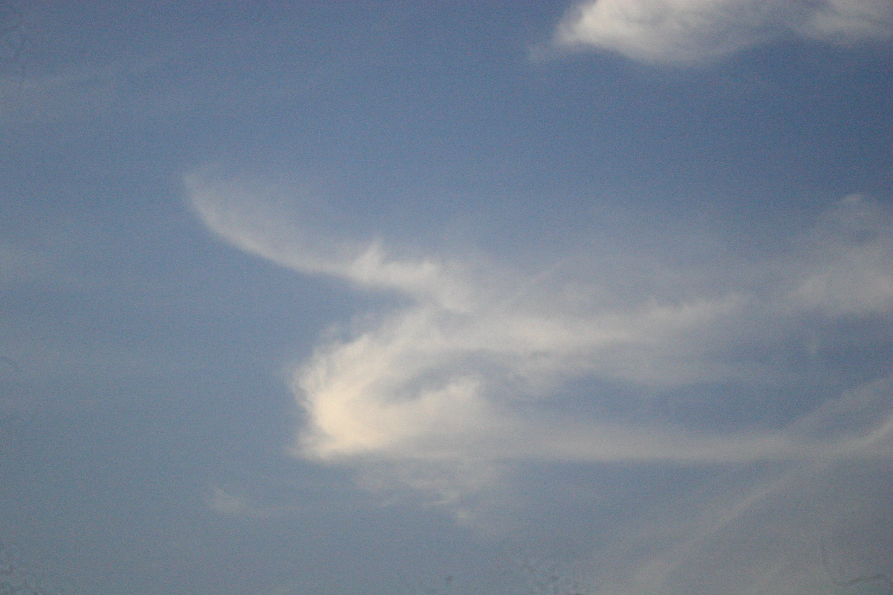 Description of Nature Photo 6