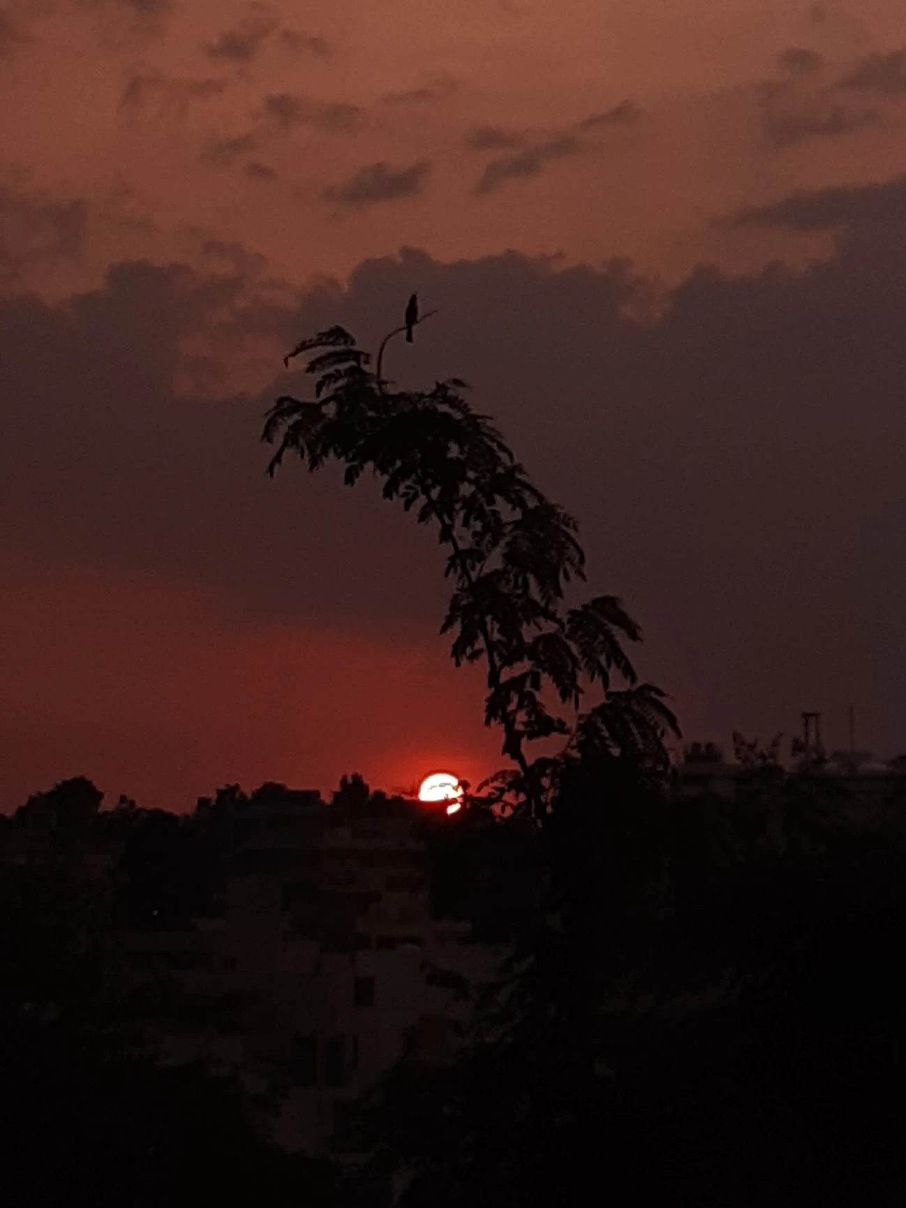 Description of urbanscape Photo 7